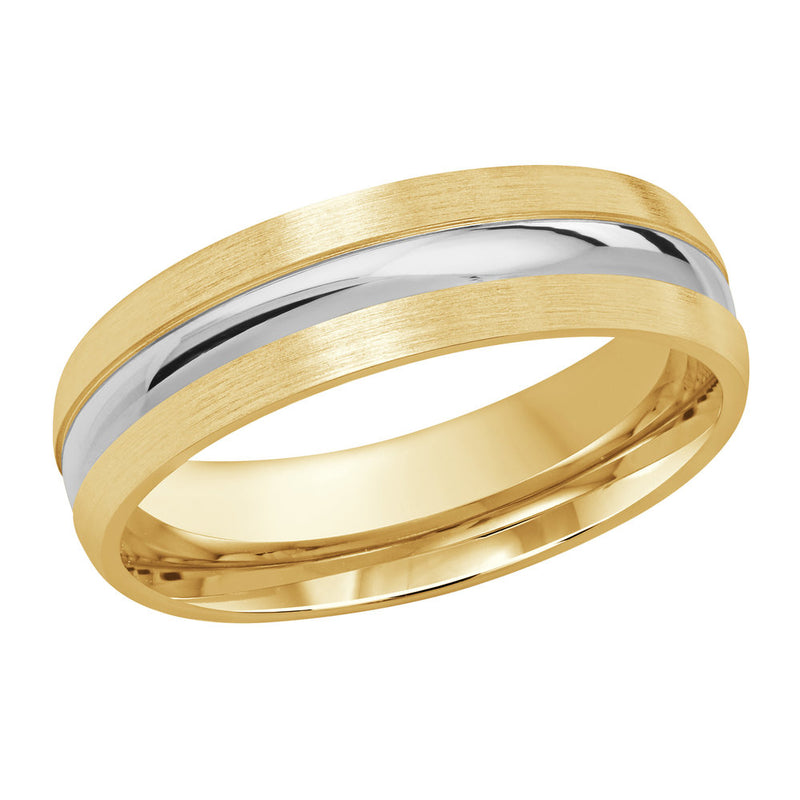 M3-245 Platinum - Yellow / White Gold 6mm Satin